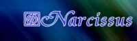 NARCISSUS ADA