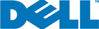 Dell Inc. SAD