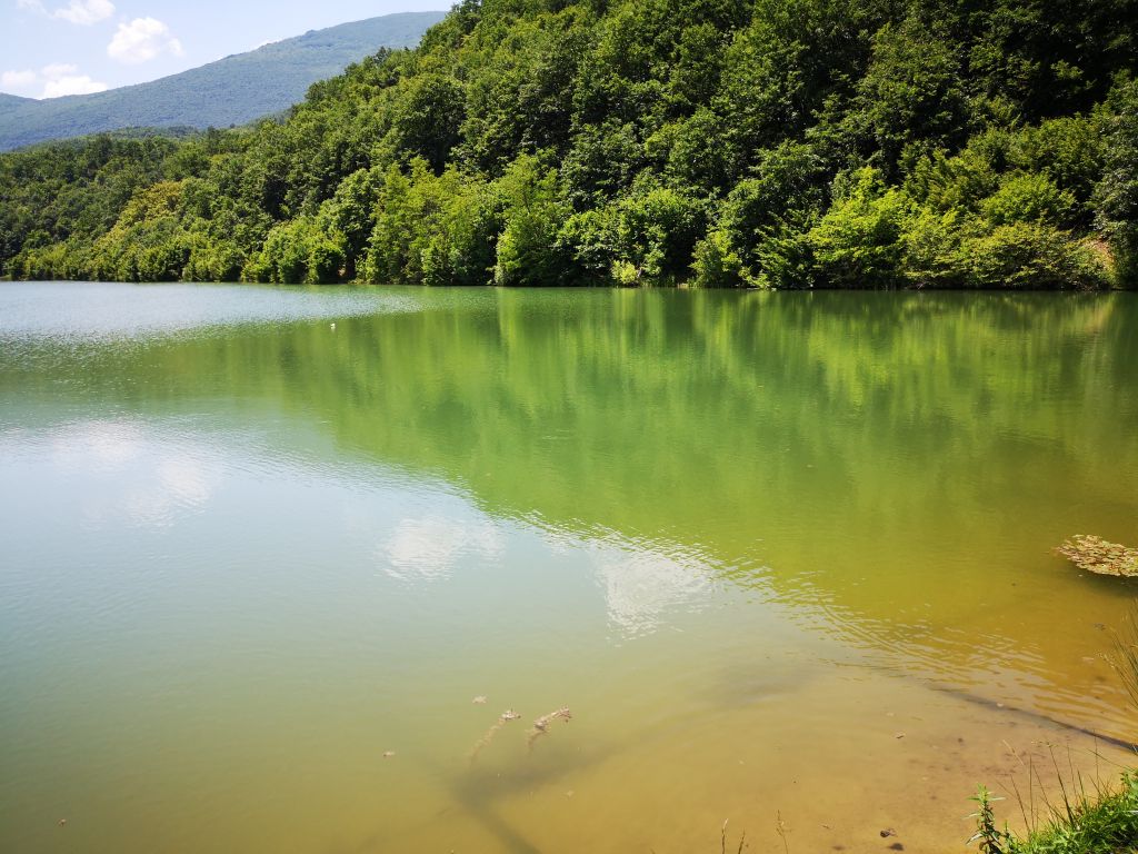 Divljansko jezero kod Bele Palanke
