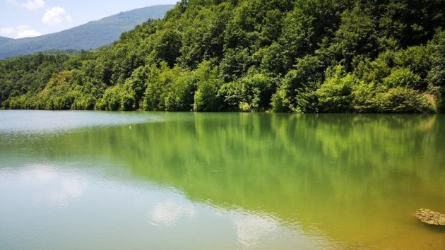 Divljansko jezero kod Bele Palanke