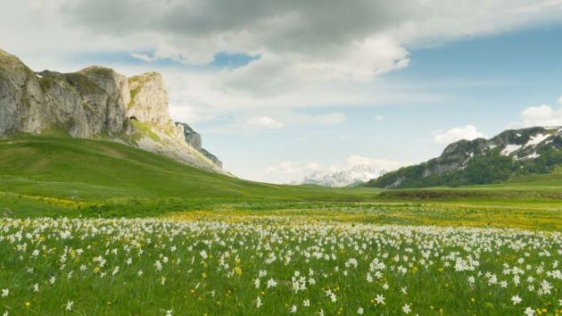 planina Lukavica kod Nikšića