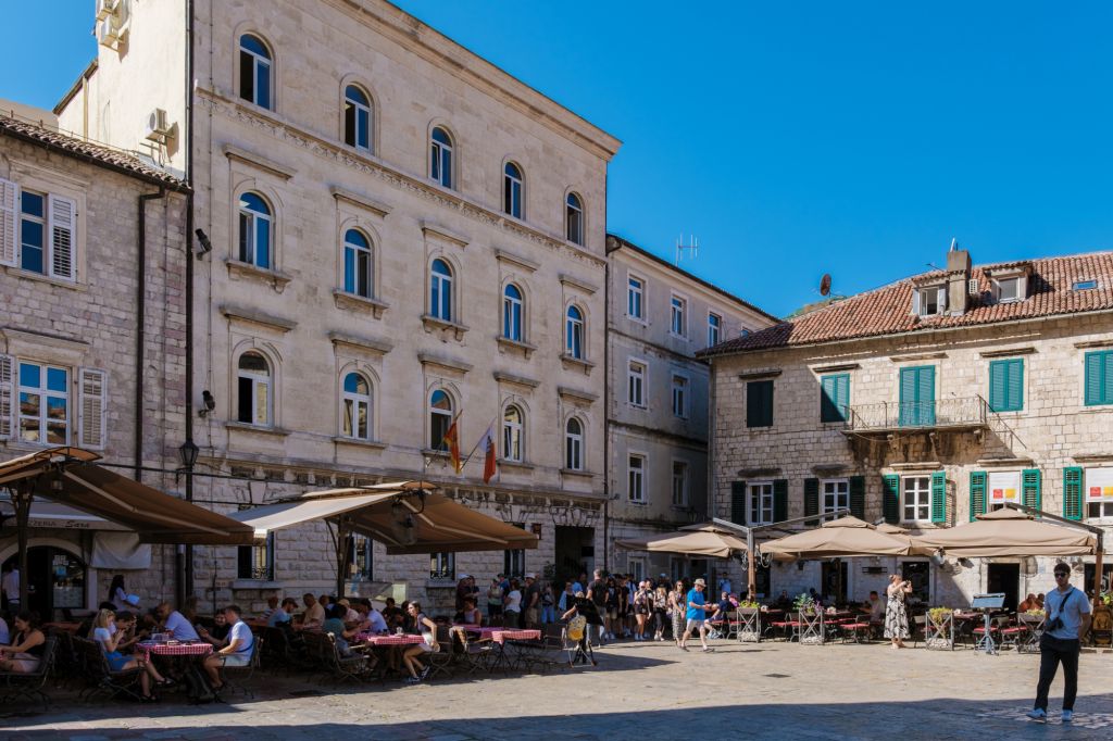 Opština Kotor