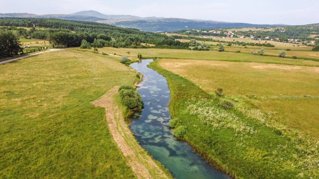 Livanjsko polje