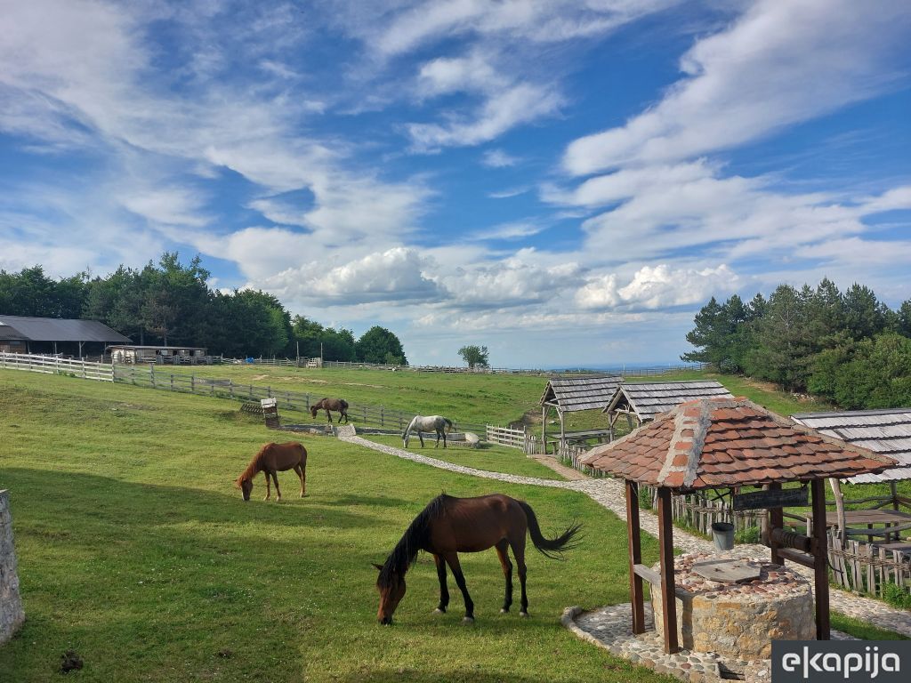 naselje Pecka kod Osečine