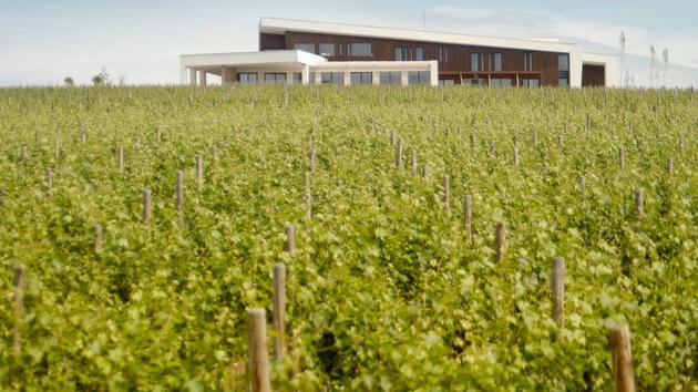 Vinarija Temet Lozovik Jagodina