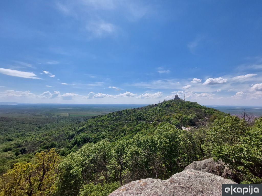 Gudurički vrh kod Vršca